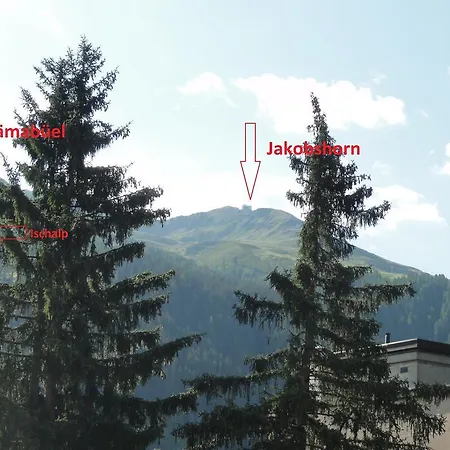 Im Park 9 Apartment Davos